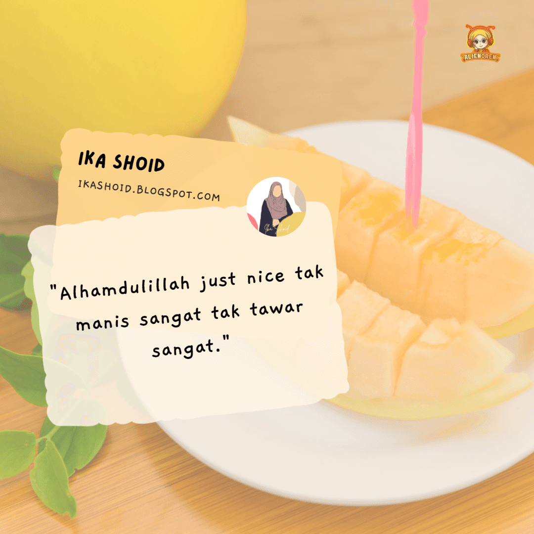 Review MMT by blogger Ika Shoid